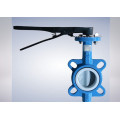 China Supplier of Ductile Iron Butterfly Valve