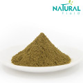 Horny Goat Weed Powder Epimedium Extract 10% Icariin