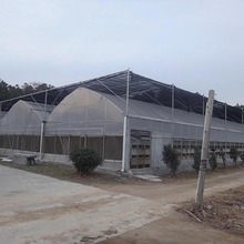 Große Kunststofffolie Multi Span Greenhouse