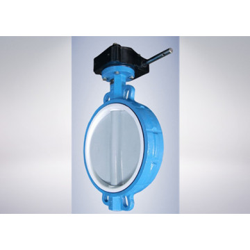 China Supplier of Ductile Iron Butterfly Valve