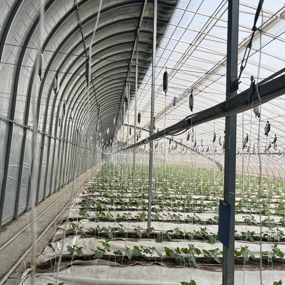 Fixed Shade Greenhouse Fixed Shade Greenhouse
