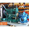 Diesel Motor Wasserpumpe (Set)