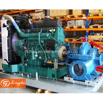 Diesel Engine Water Pump (set)