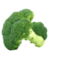 Natural Broccoli extract powder