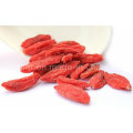 Níspero secado Ningxia Rojo orgánico Wolf Berry