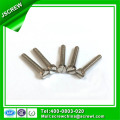 Slotted Stainless Steel Bolt Screw