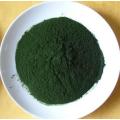 Chlorella Protein Pulver 90% Sporternährung