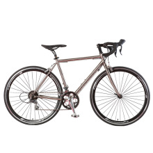 Bicyclette de course de vélo sport de nouveau modèle 21 vitesse 700c (FP-RB-S01)