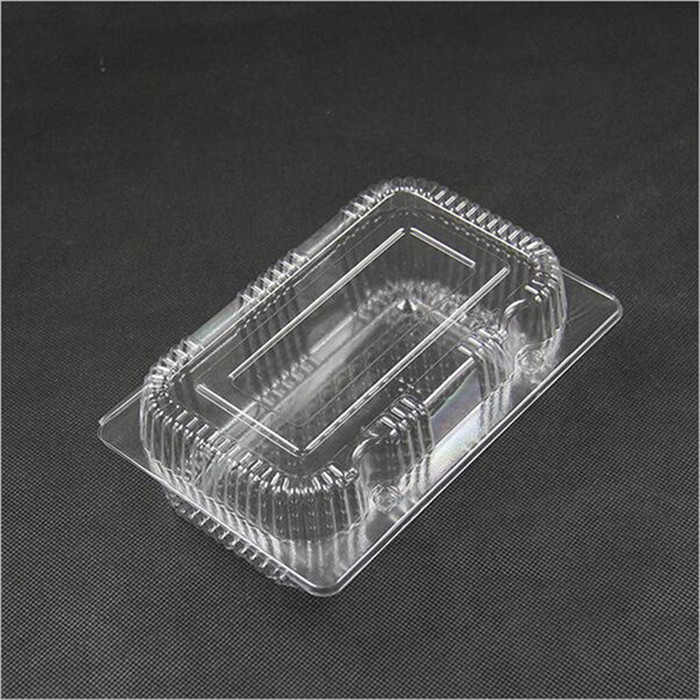 Plastic Fresh Fruit Container