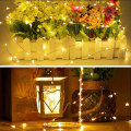 Waterproof Warm White Mini Fairy LED Copper Lights