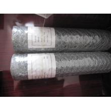 Electro Galvanized Hexagonal Wire Mesh in Best Price