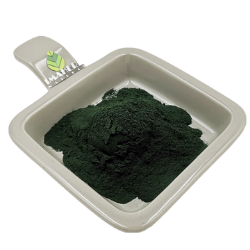 Supply Top Quality Wheatgrass extract