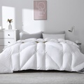 Wholesale soft luxury warm bed duvet 95%