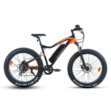 XY-Warrior-W Elektrisches Mountainbike mit Nabenmotor