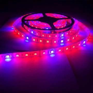 Planta Grow Lights Full Spectrum LED Strip