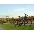 Hot selling 26 inches electric bicycles