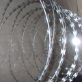 antique concertina barbed razor wire