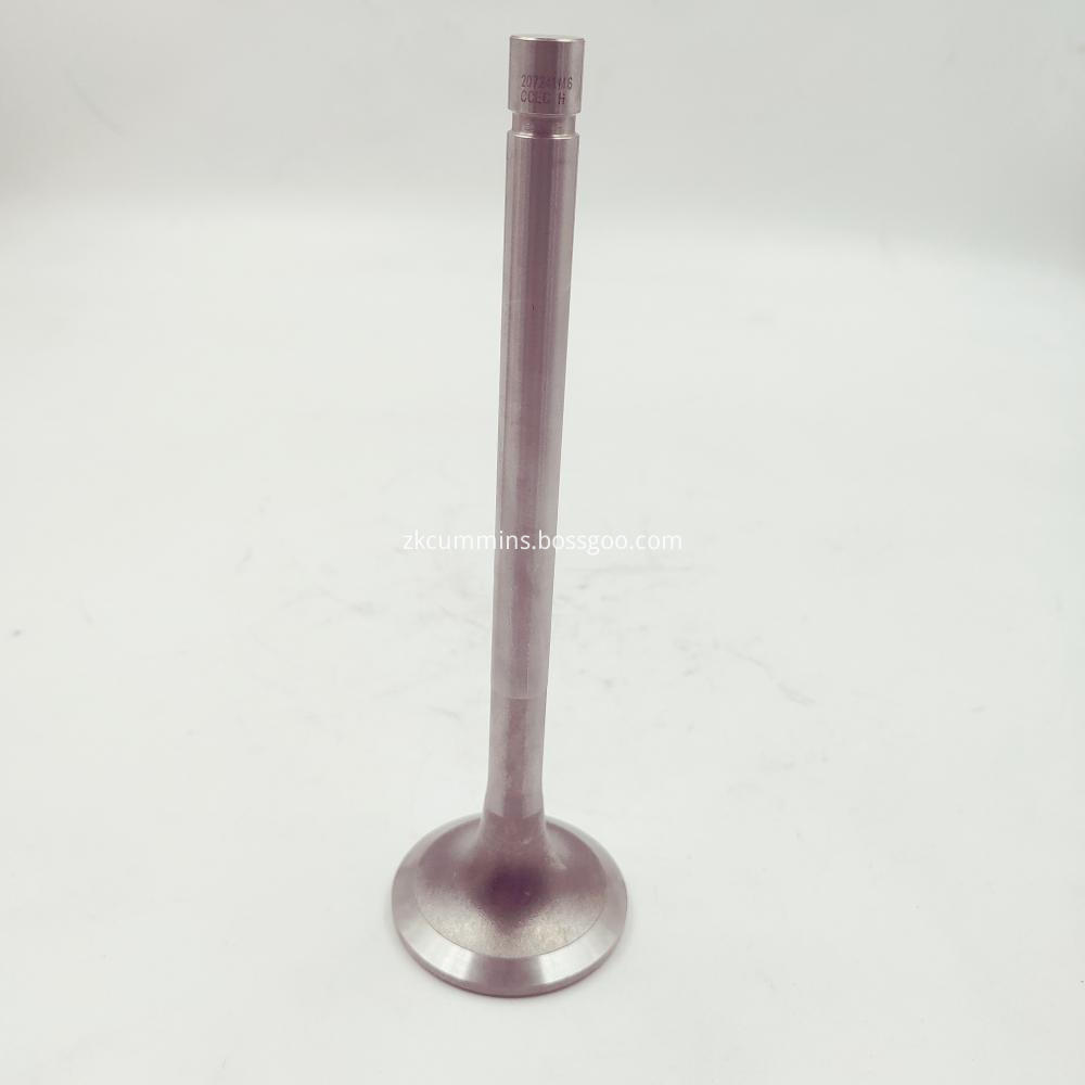 intake Valve 207241