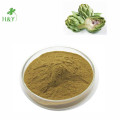 Natural design artichoke capsules artichoke extract powder