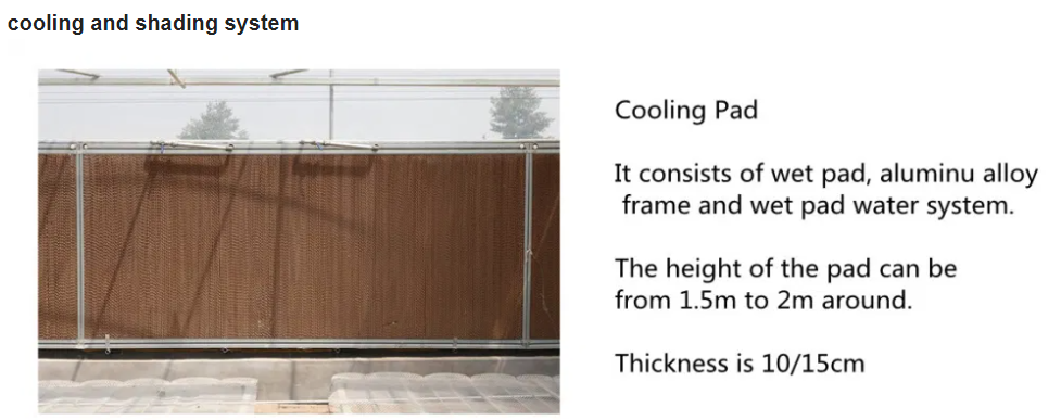 single vegatable cooling system 7 single vegatable cooling system 7