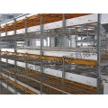 New Design Full Automatic Broiler Cage