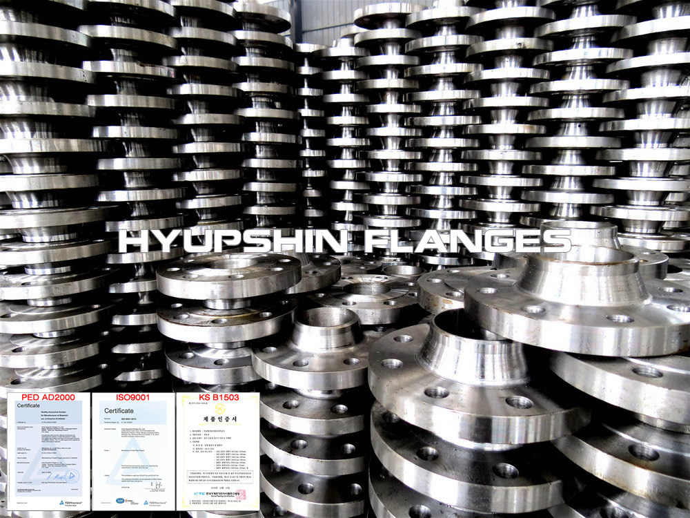 Hyupshin Flanges Din2631 Wnrf