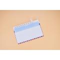 Skyline DLX White Airmail Envelope