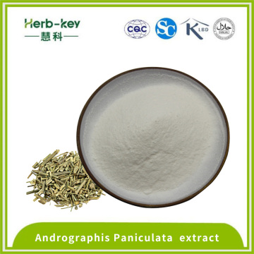 Androgrographolide 5% экстракт Andrographis paniculata