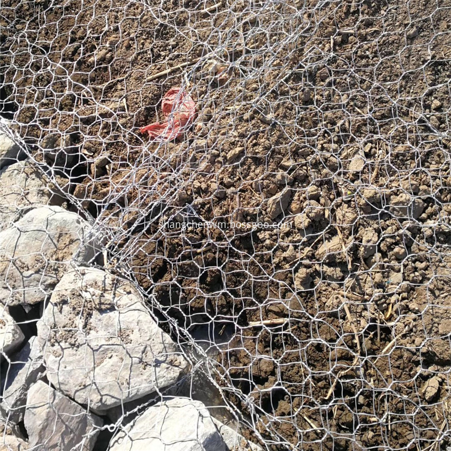 Gabion Cage