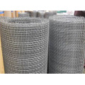 Stainless Steel Wire Mesh/ Woven Wire Mesh