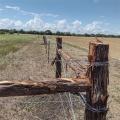 valla de alambre de púas galvanizado con buceo caliente