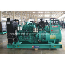 Chinese Yuchai 50kVA Diesel Generator with Silent Canopy