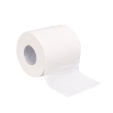 Poundland umweltfreundliche Toilettenpapierrolle