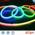 Neon rope LED flex light for garden decoration