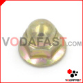 Hex Domed Cap Flange Nut