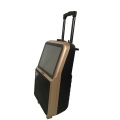 Rechargeable Trolley Speaker with screen and Mic