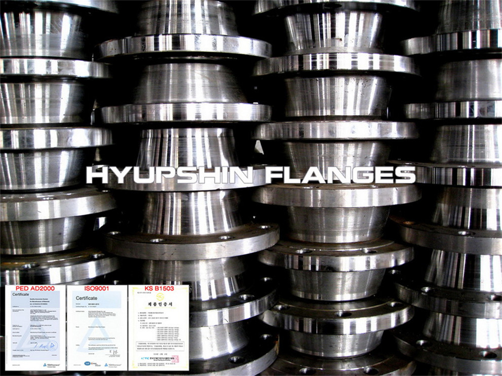 Hyupshin Flanges Ansib165 Wnrf