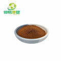 Ganoderma lucidum spore powder reishi powder