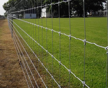 Deer Fence Netting