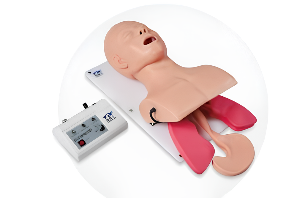 Advanced Endotracheal Intubation Model Advanced Endotracheal Intubation Model