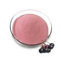 Factory Supply aronia chockberry fruit powder aronia powder