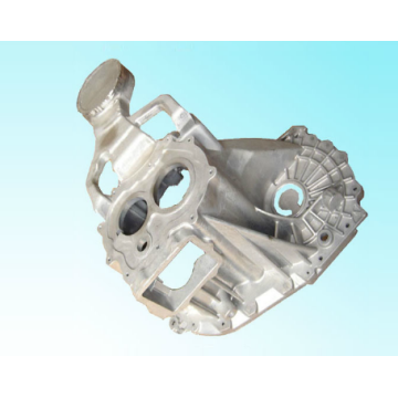 Die Cast Die for Gearbox/Castings/Mould/Die Casting Mould