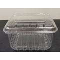 Transparent Pet Plastic Container for Fruit