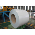 Prepainted galvalume steel coil