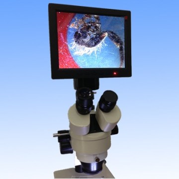 Stereo Microscope Digital Camera with 8′tft-LED Screen Dm001