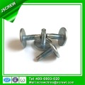 Truss Head Stainless Steel Torx Screw