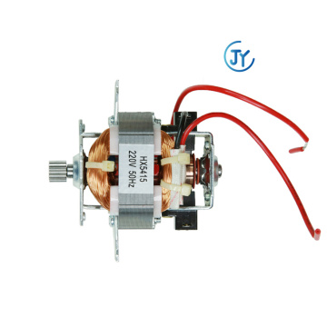 Entsafter Universalmotor AC-Universalmotor Universalmotor