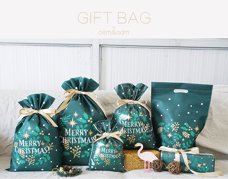 Non Woven Gift Bag