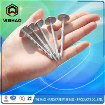 Umbrella head roofing nails