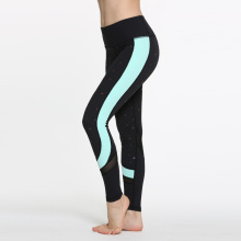 2016 Sexy yoga deportivas polainas entrenamiento pantalones con panel azul